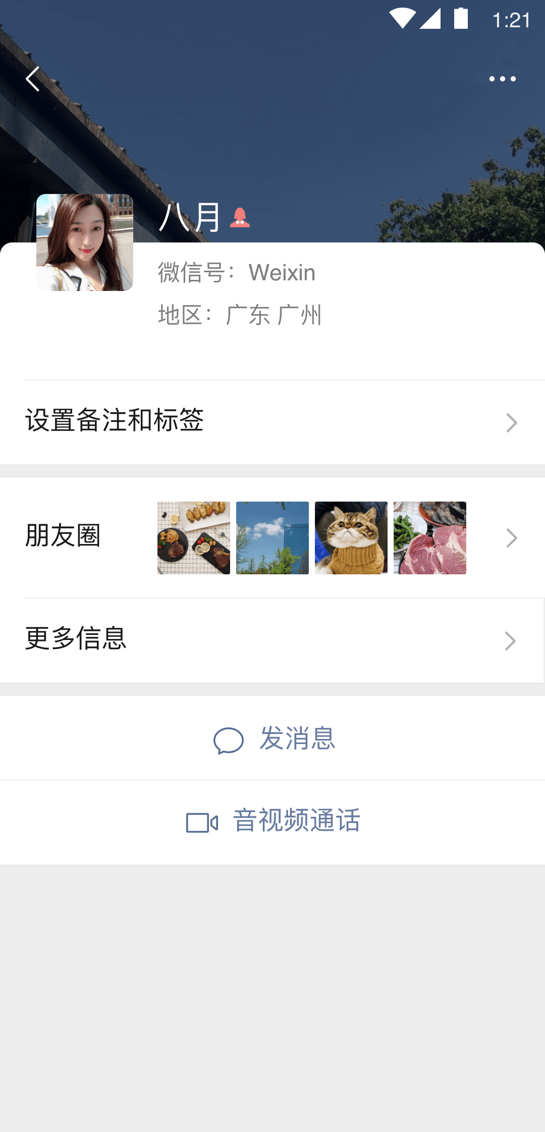 蛋神传说动画片截图